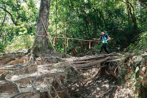 BIB: 
                            <button type="button" onclick="openModal(27800750)" class="btn btn-primary btn-sm float-right btn-popup" data-toggle="modal" data-target=".modal-high-quality">
                        <i class="fas fa-shopping-cart"></i> Add to Cart
                    </button>
                                            <button type="button" onclick="isThisMe(27800750, true)" class="btn btn-success btn-sm float-right btn-popup btn-isme hidden" data-toggle="tooltip" data-placement="bottom" title="นี่คือรูปของคุณใช่ไหม คลิกที่นี่เพื่อเอาเข้าอัลบั้ม">
                        <i class="fas fa-plus"></i> Add to album
                    </button>
                    <button type="button" onclick="isThisMe(27800750, false)" class="btn btn-warning btn-sm float-right btn-popup btn-isnotme hidden">
                        <i class="fas fa-ban"></i> Remove from album
                    </button>